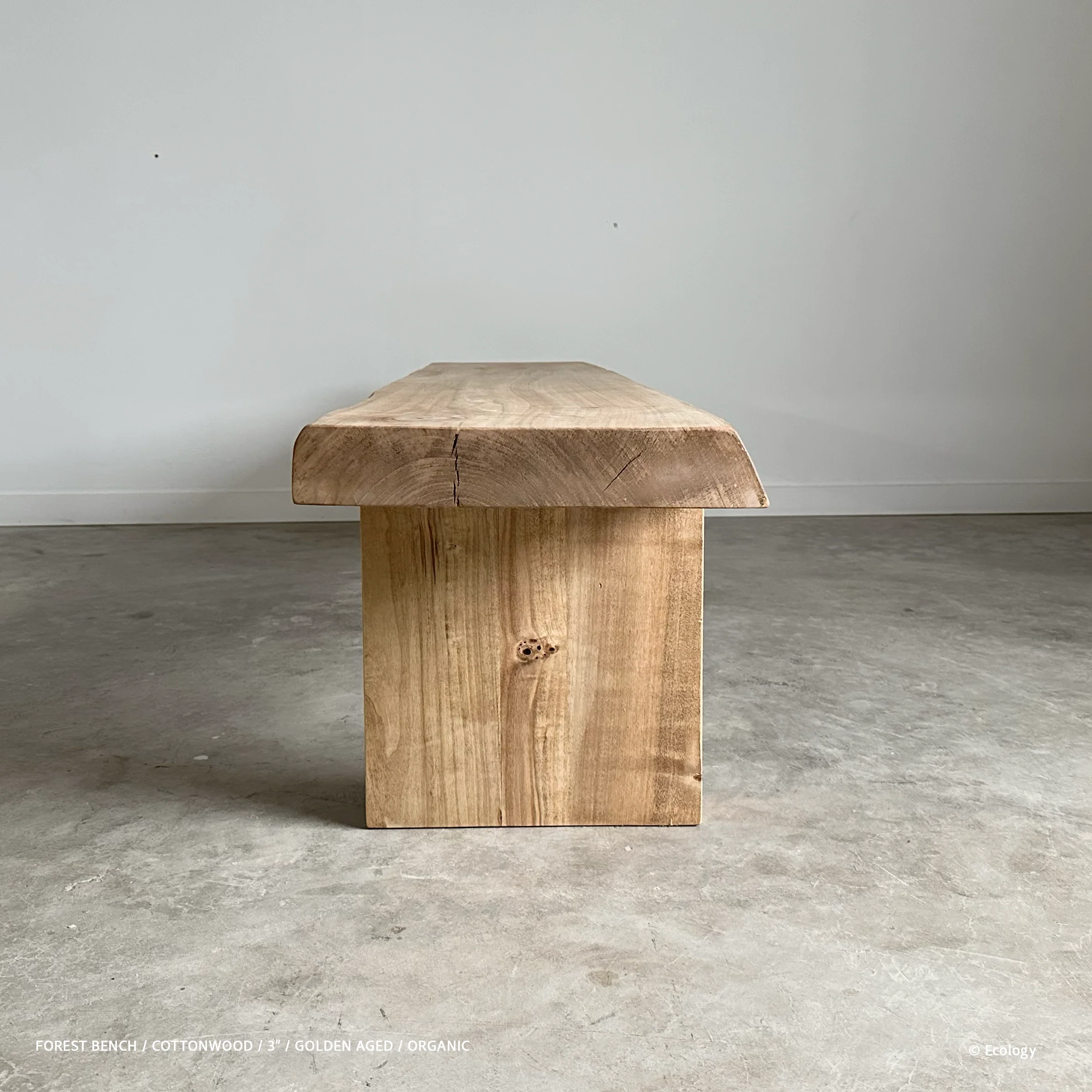 Forest Bench - Image 11