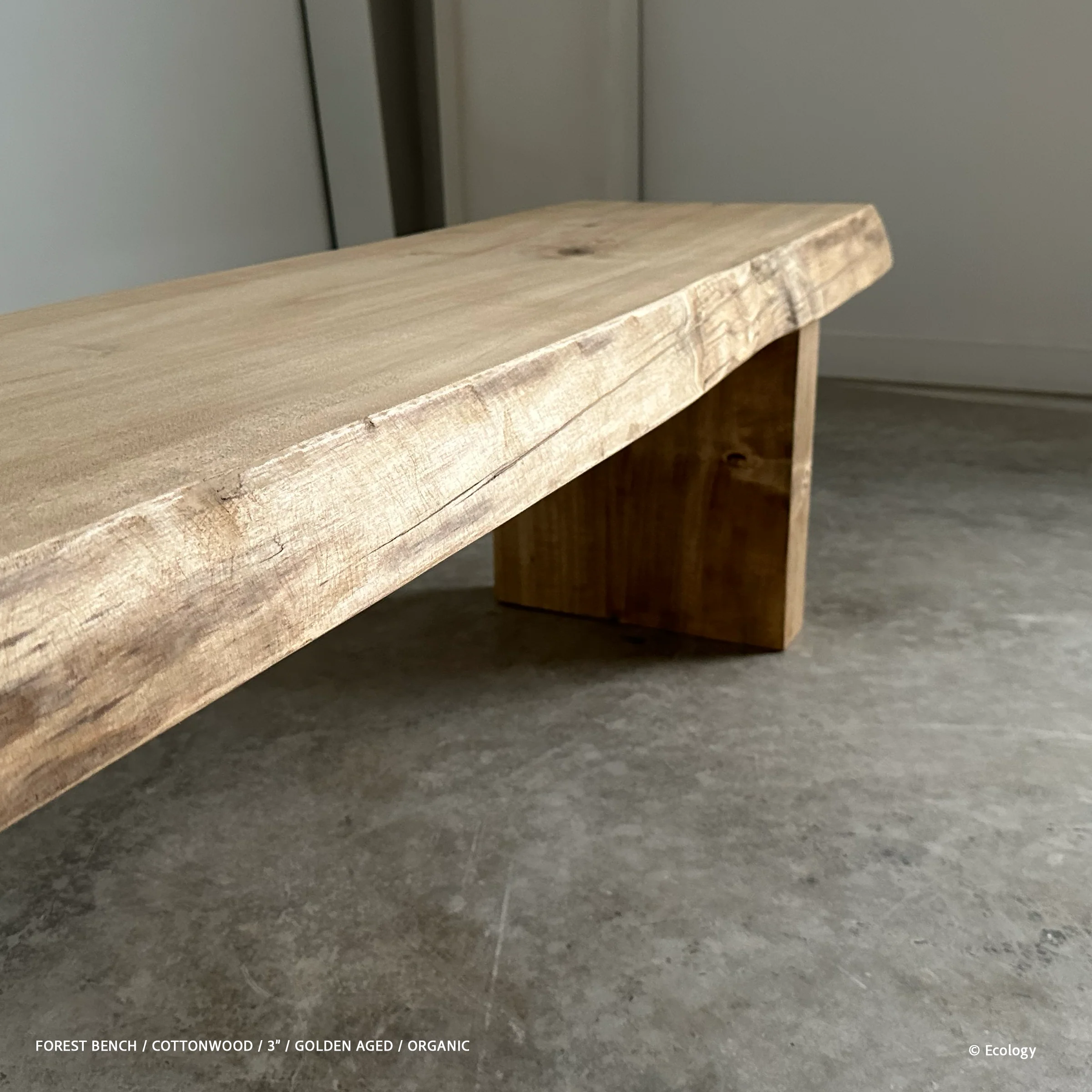 Forest Bench - Image 3