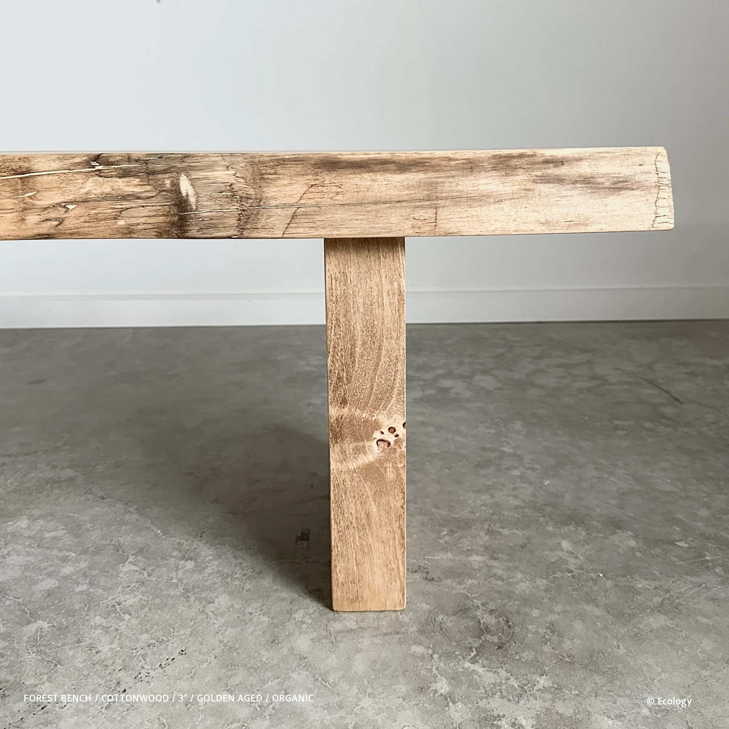 Forest Bench - Image 4