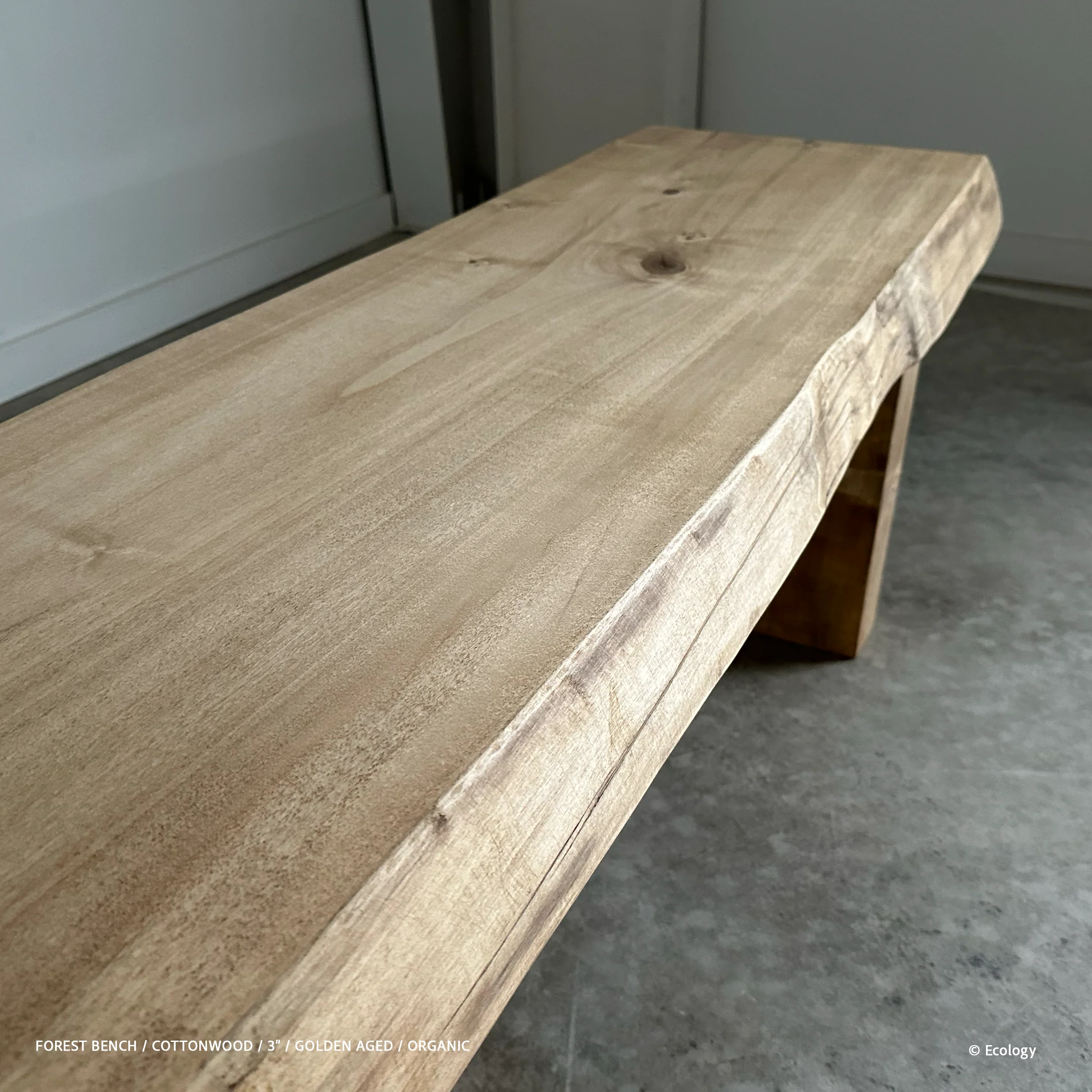 Forest Bench - Image 5