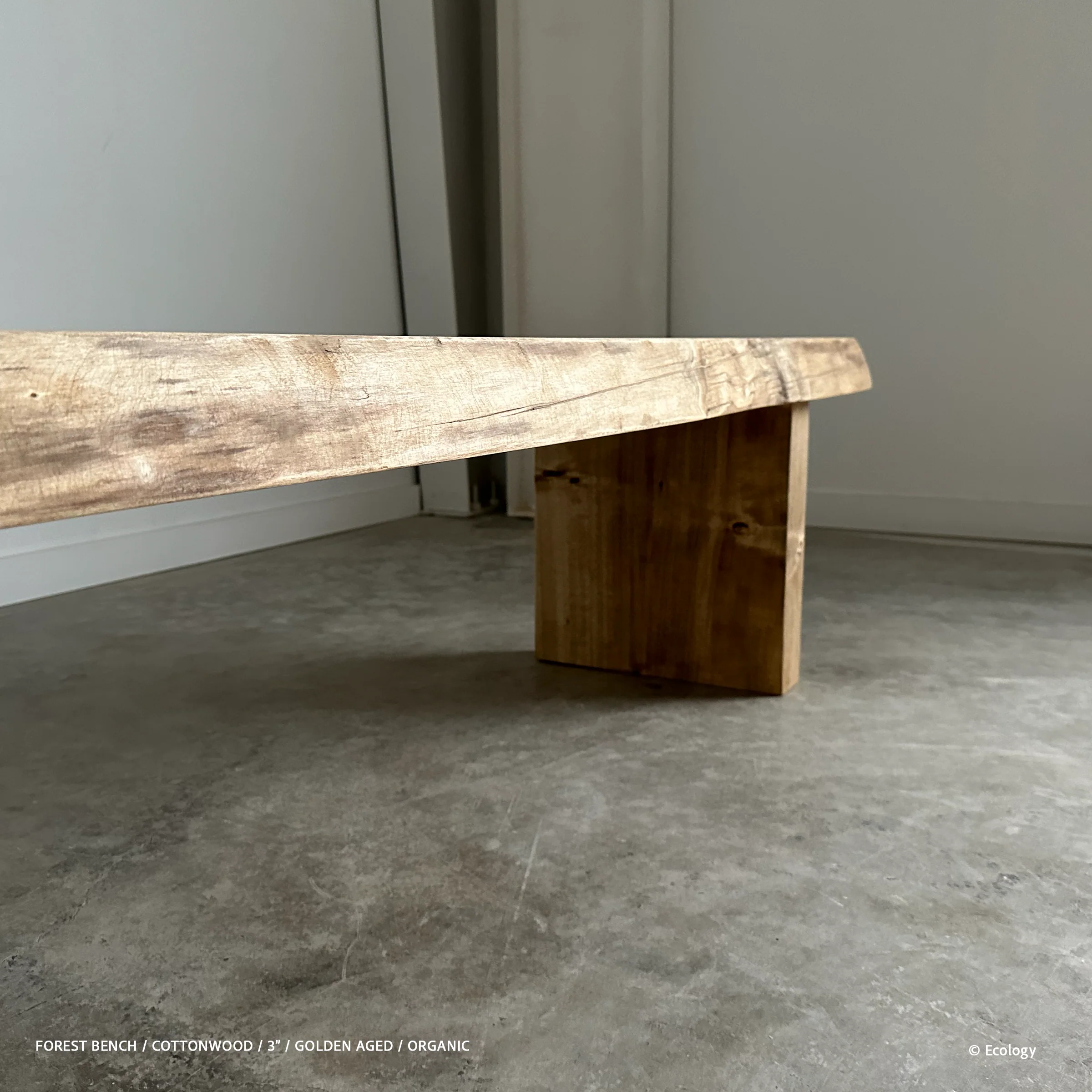 Forest Bench - Image 6