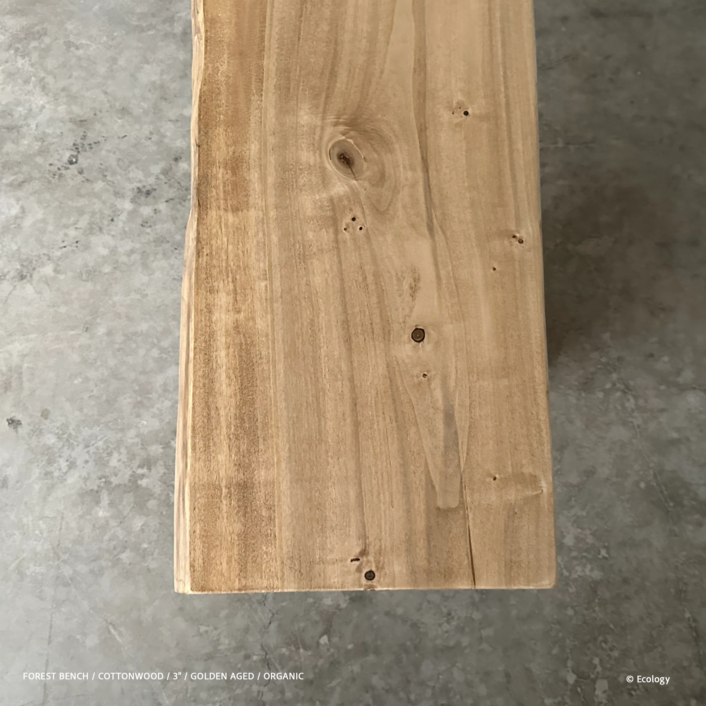 Forest Bench - Image 7