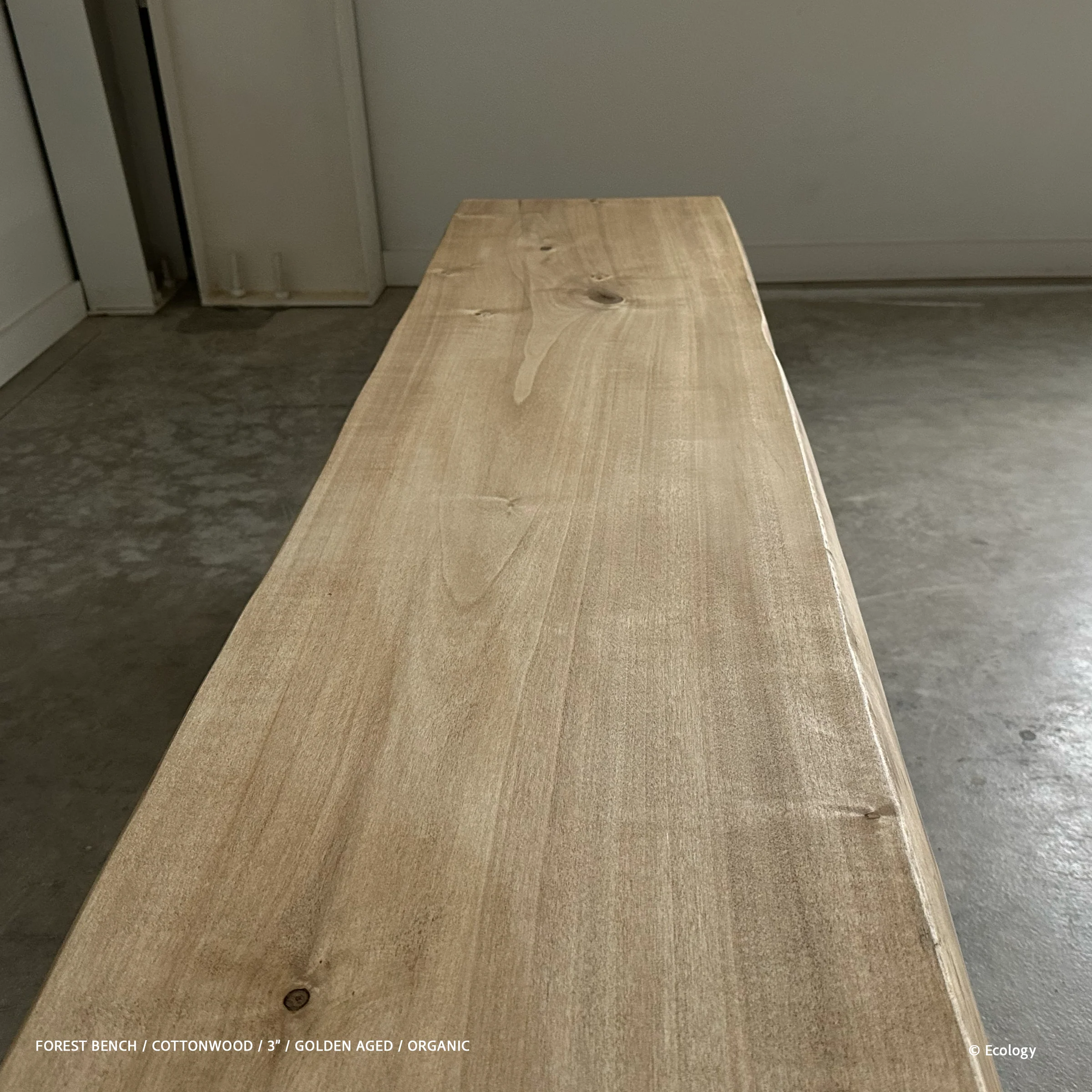 Forest Bench - Image 8