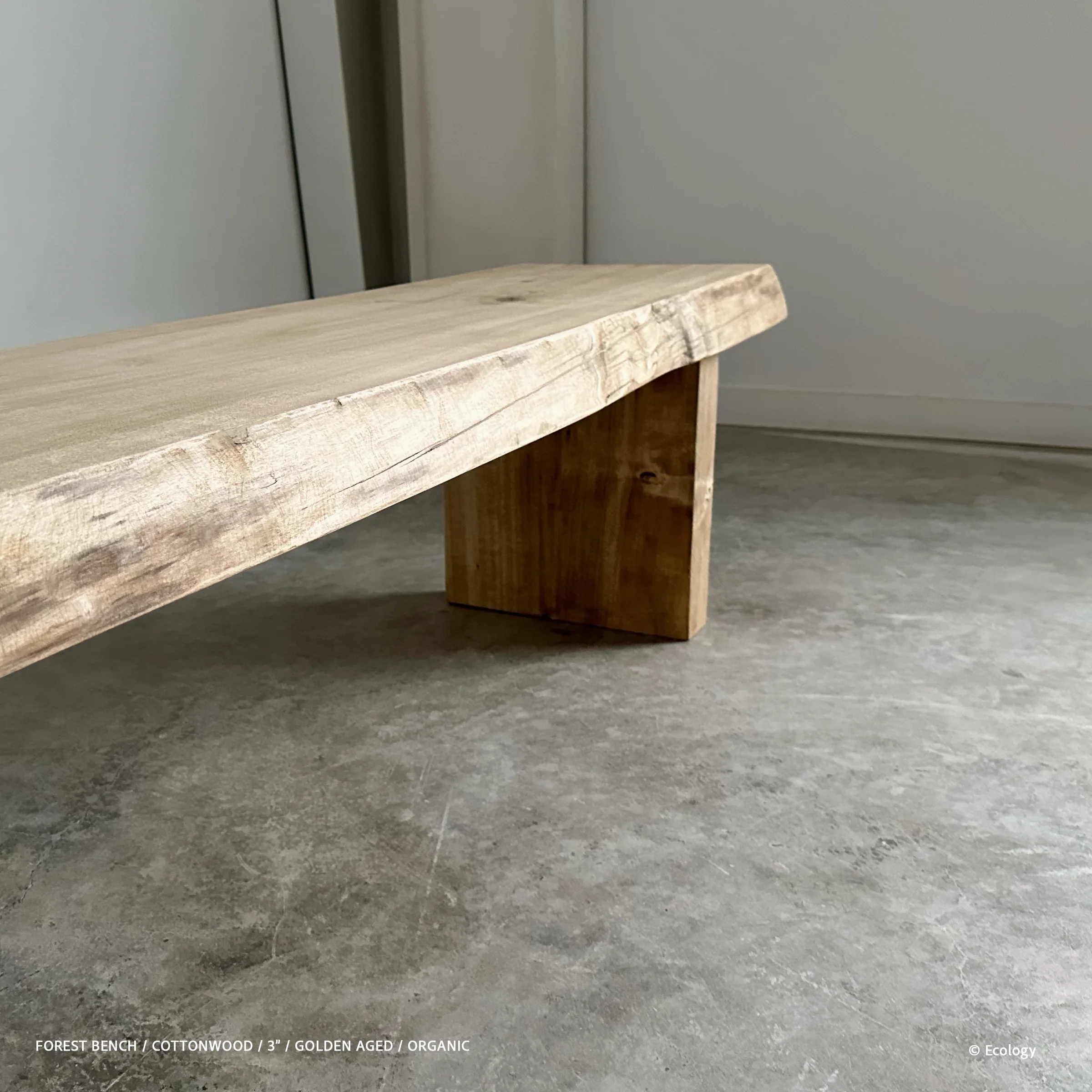 Forest Bench - Image 9