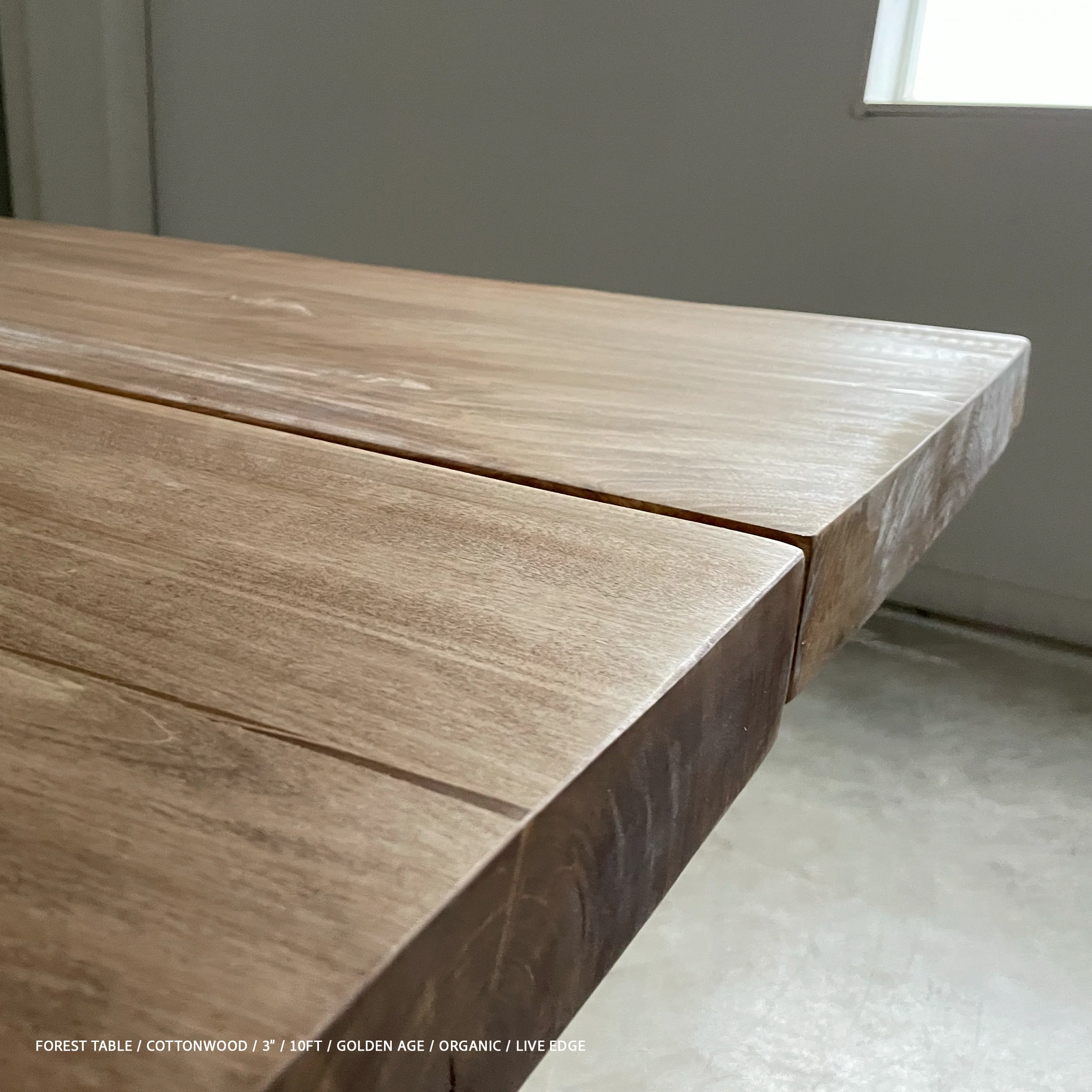 Forest Table - Image 14