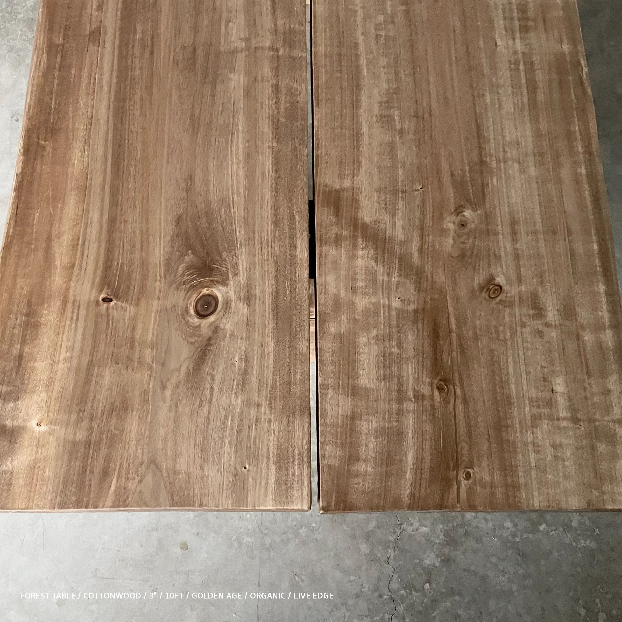 Forest Table - Image 19