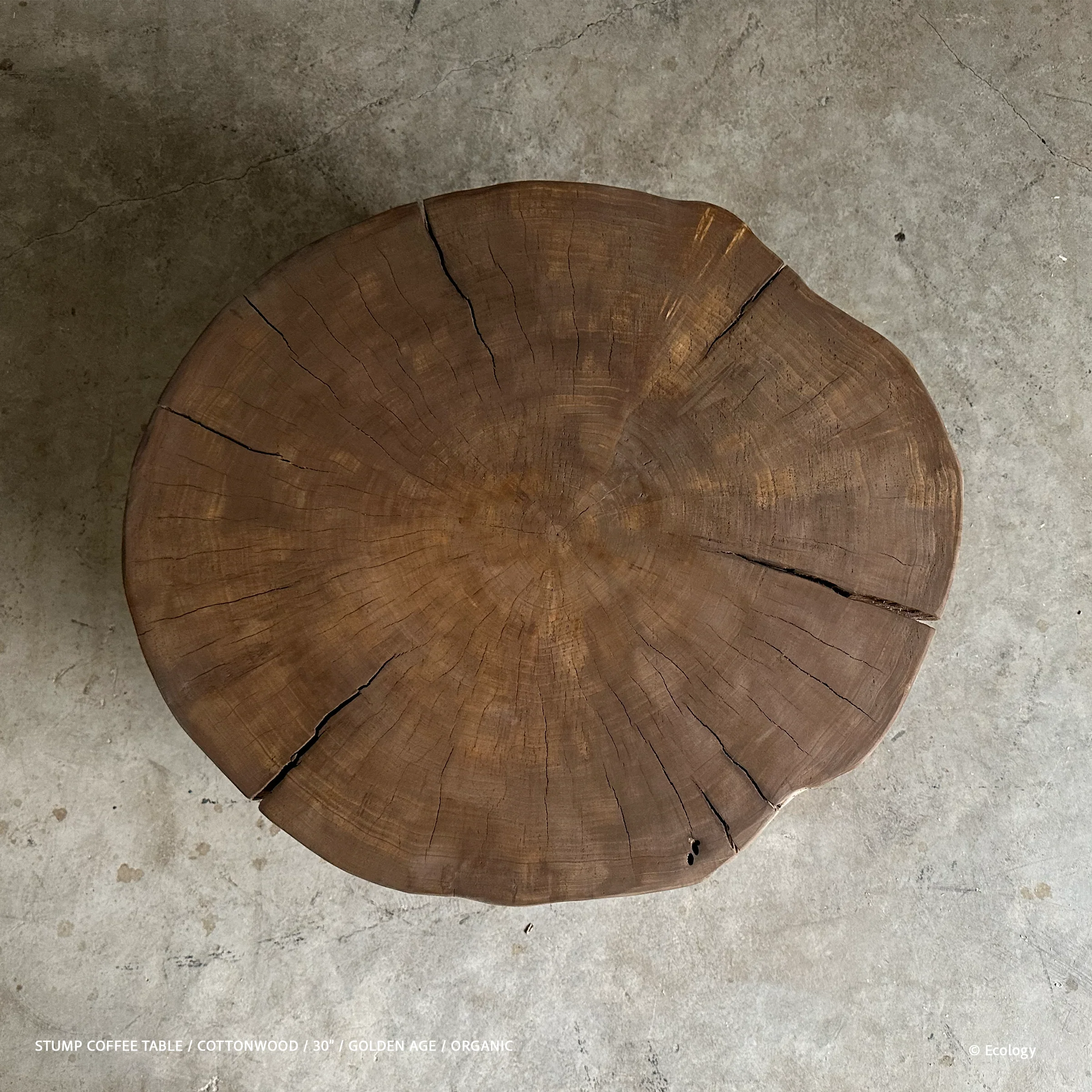 Stump Coffee Table - Image 10