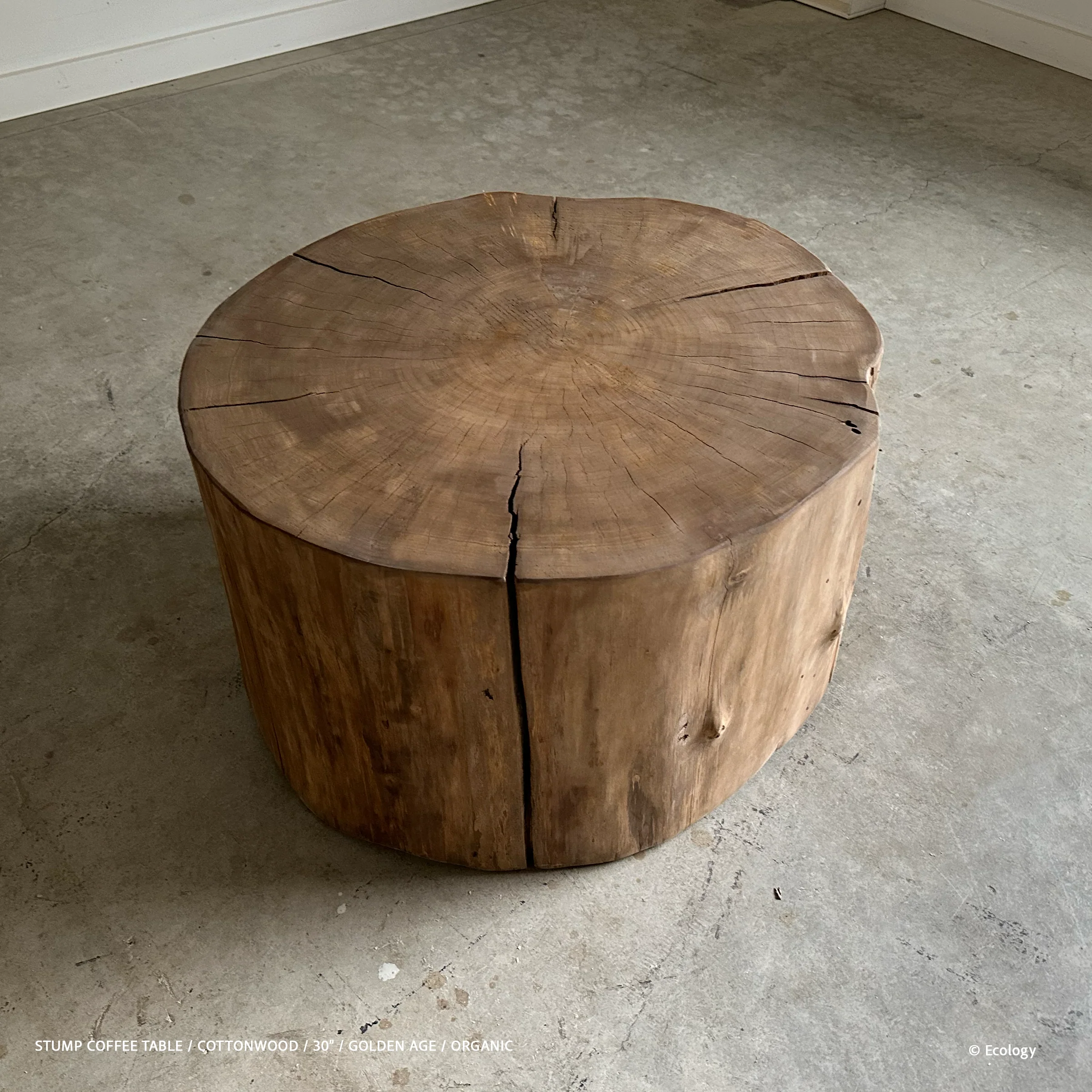 Stump Coffee Table - Image 11