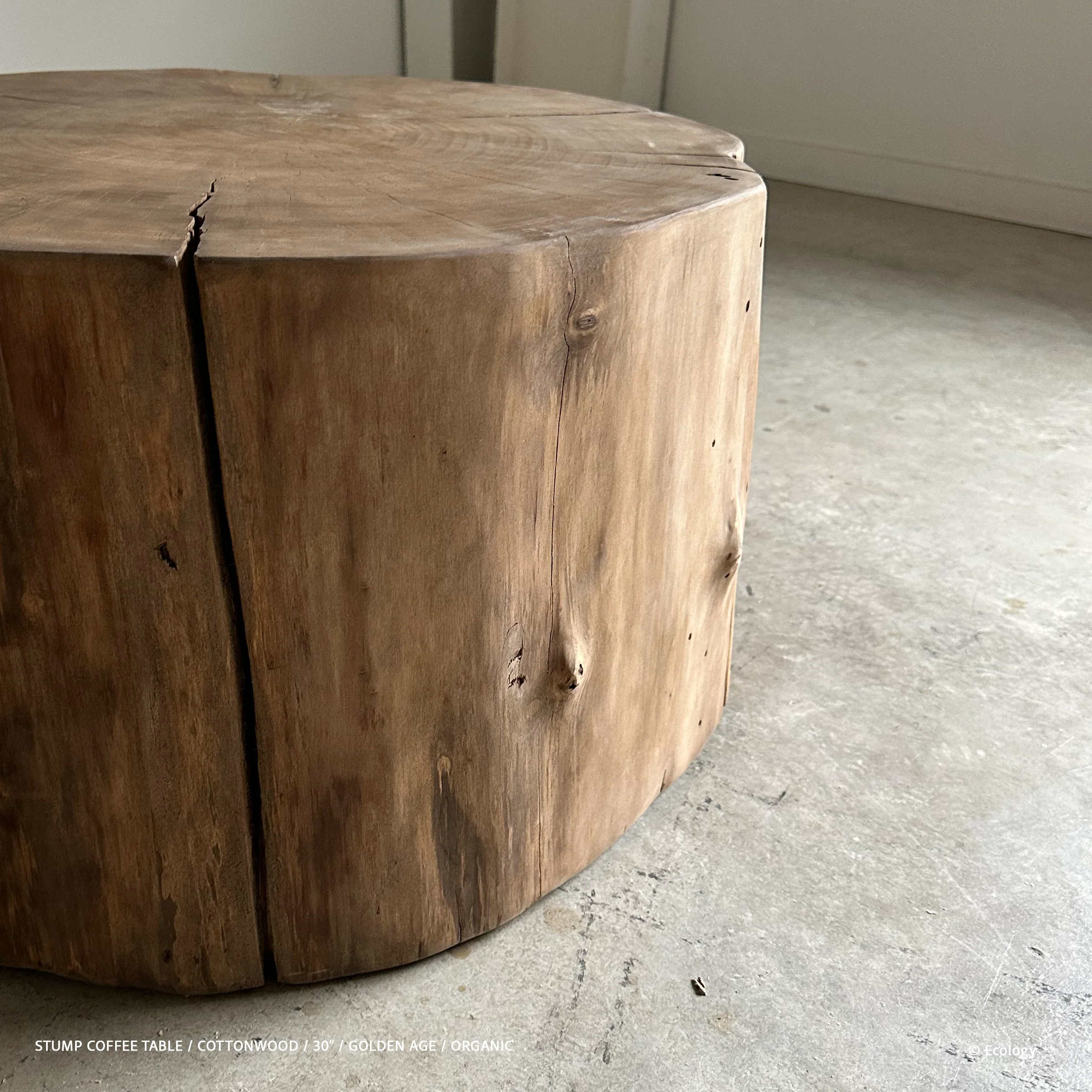 Stump Coffee Table - Image 12