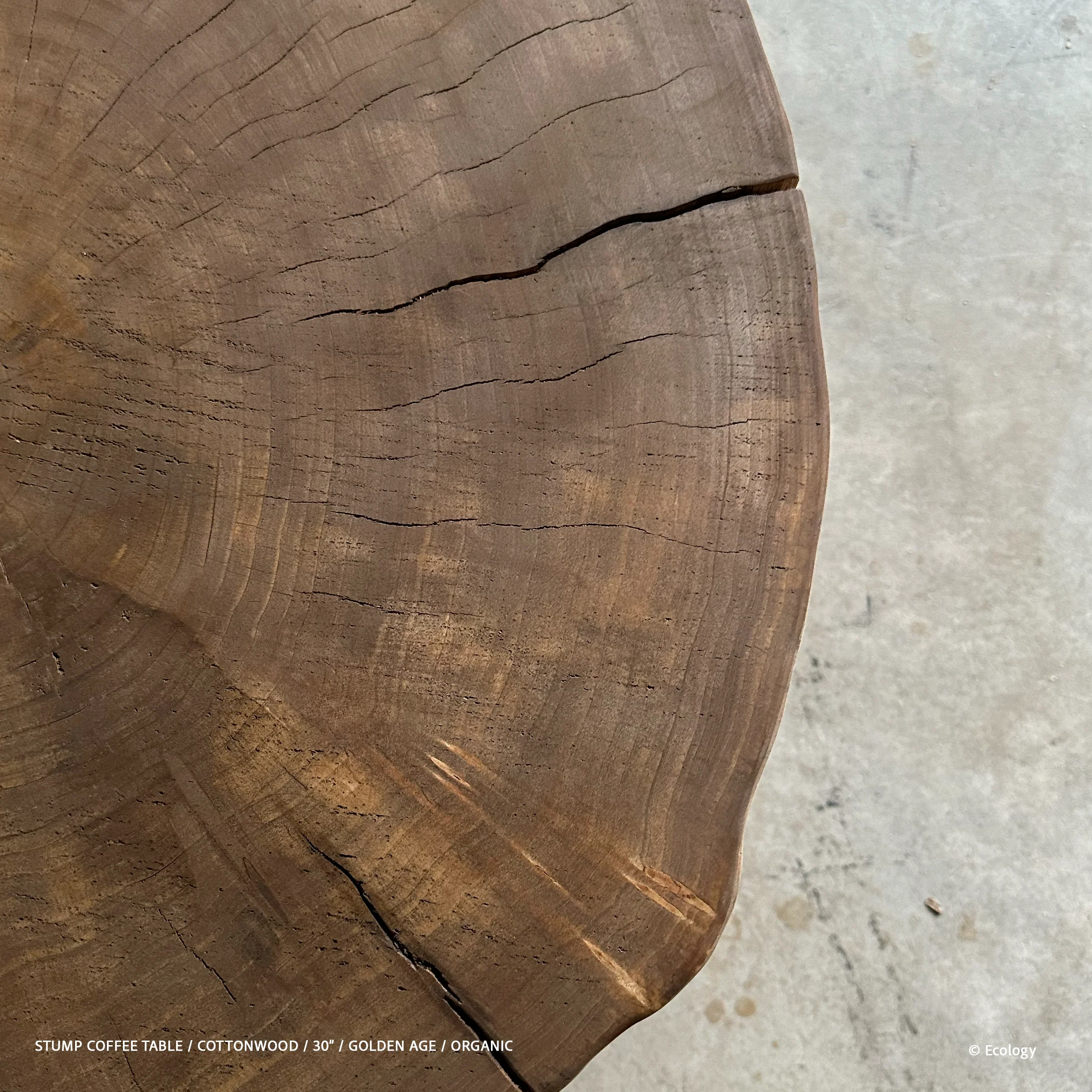 Stump Coffee Table - Image 13