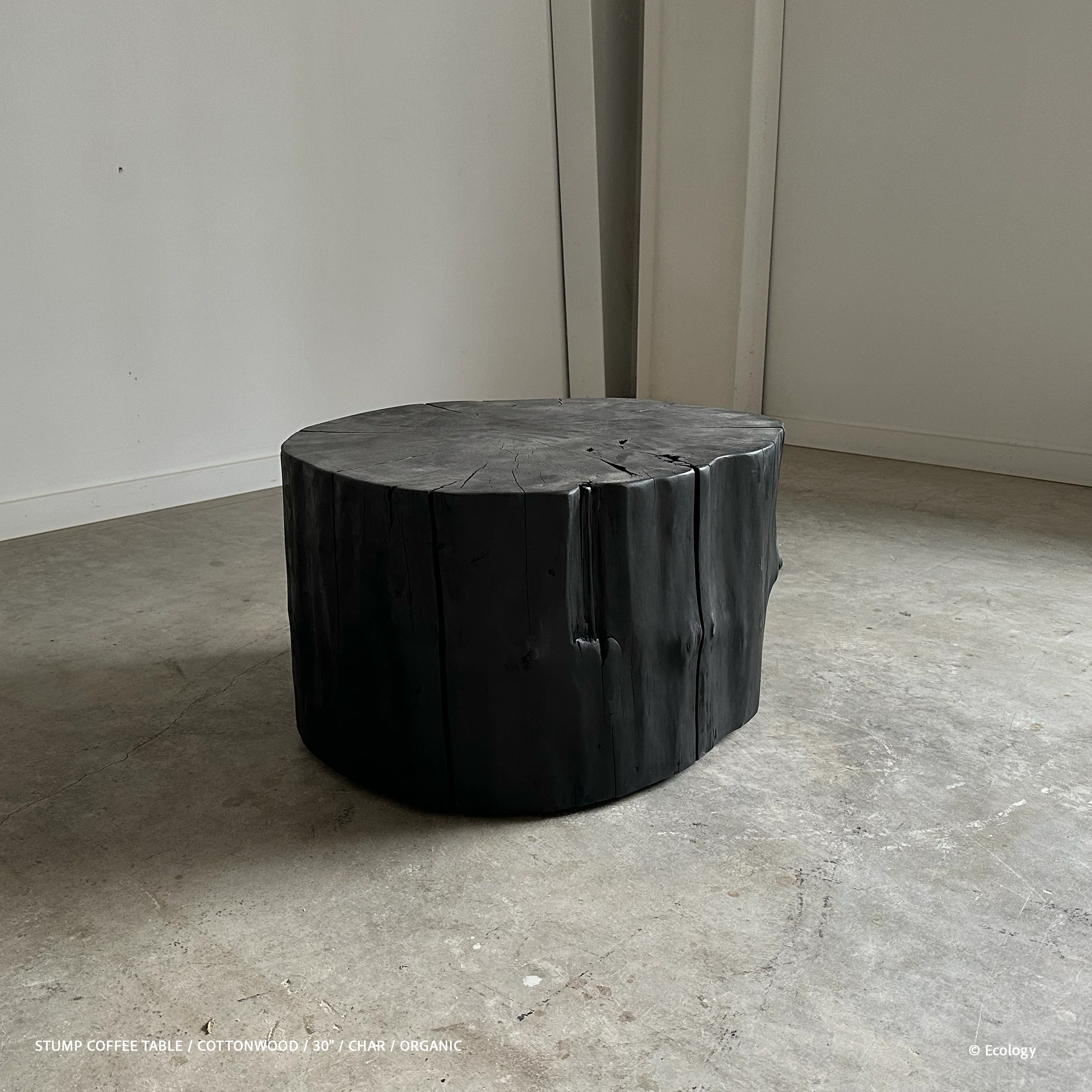Stump Coffee Table - Image 14