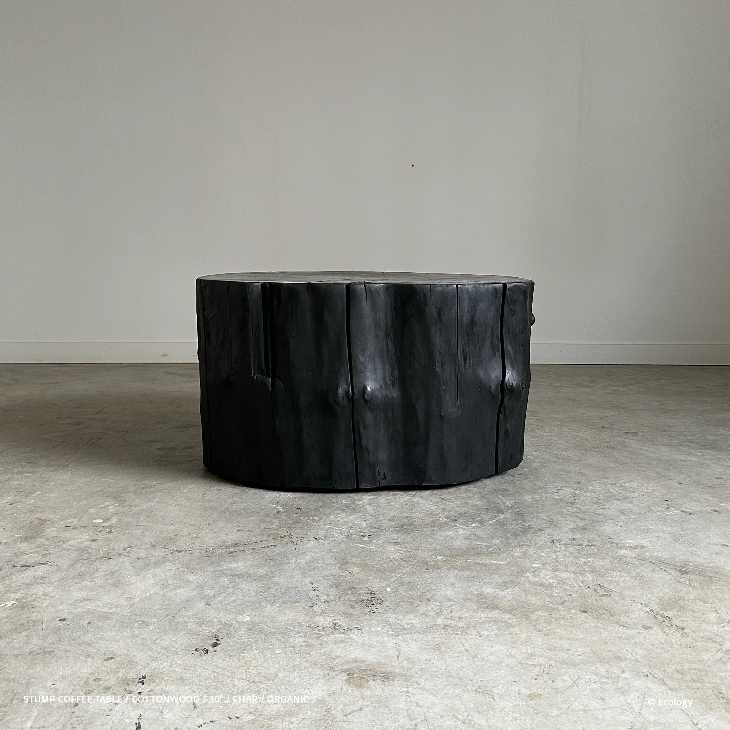 Stump Coffee Table - Image 15