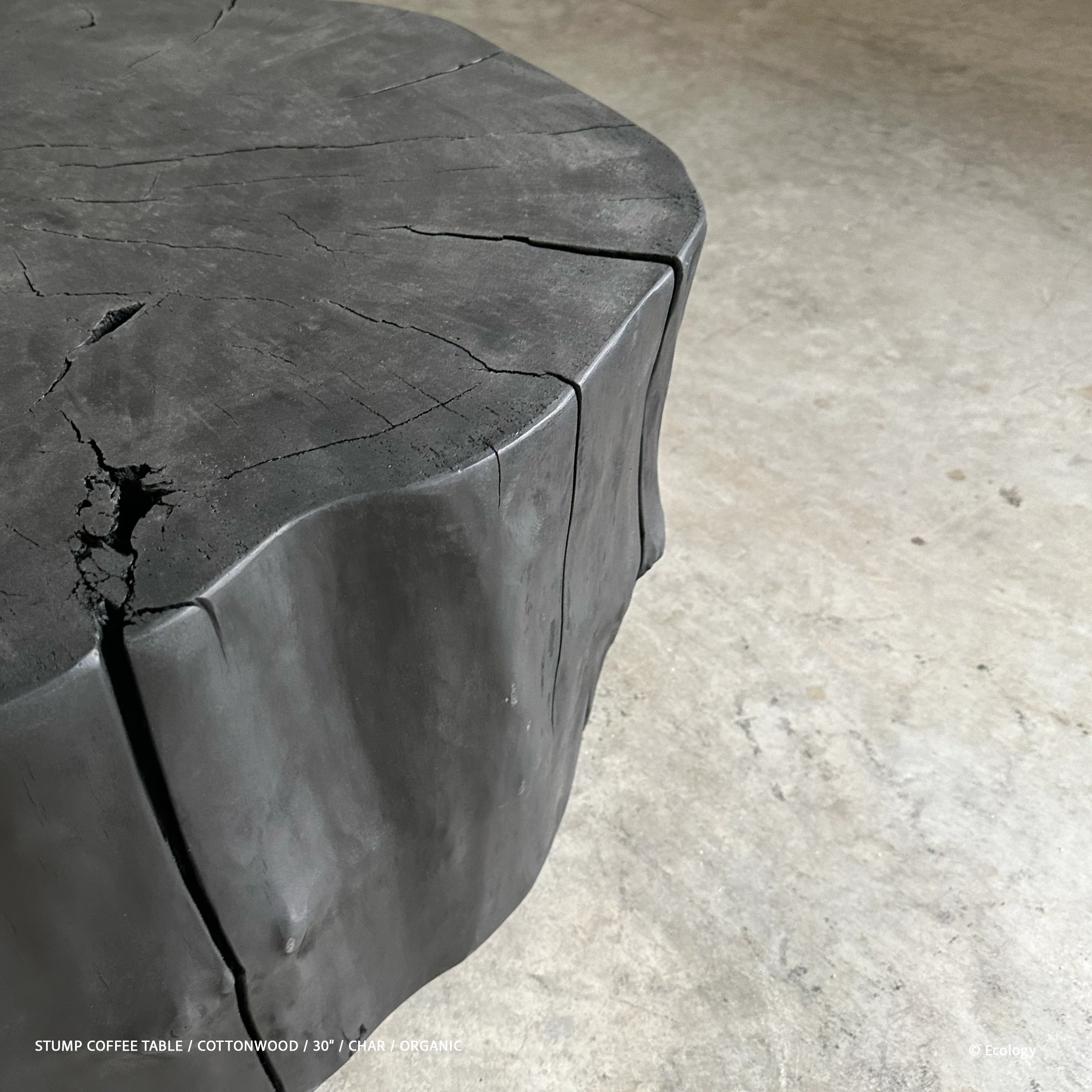 Stump Coffee Table - Image 16