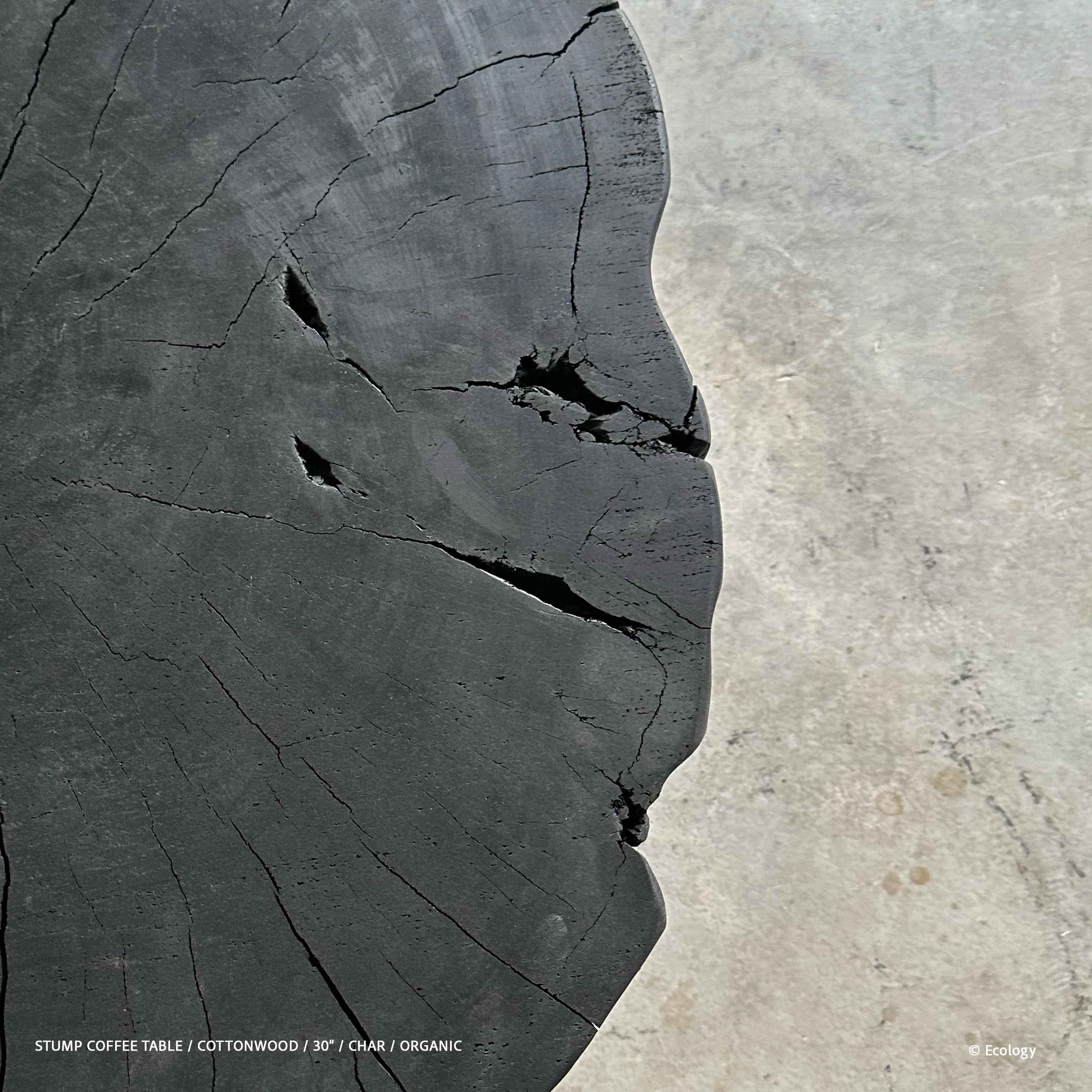 Stump Coffee Table - Image 17