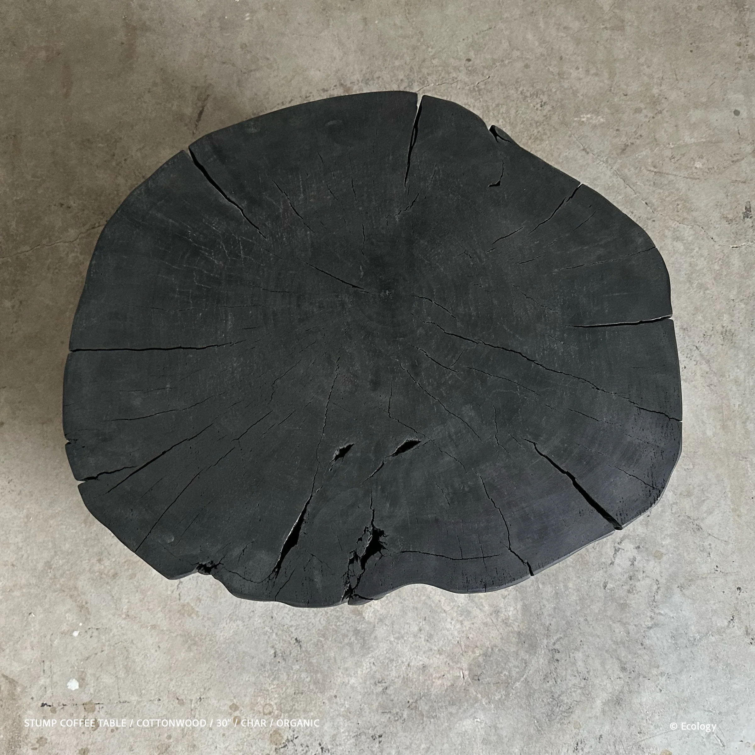 Stump Coffee Table - Image 18
