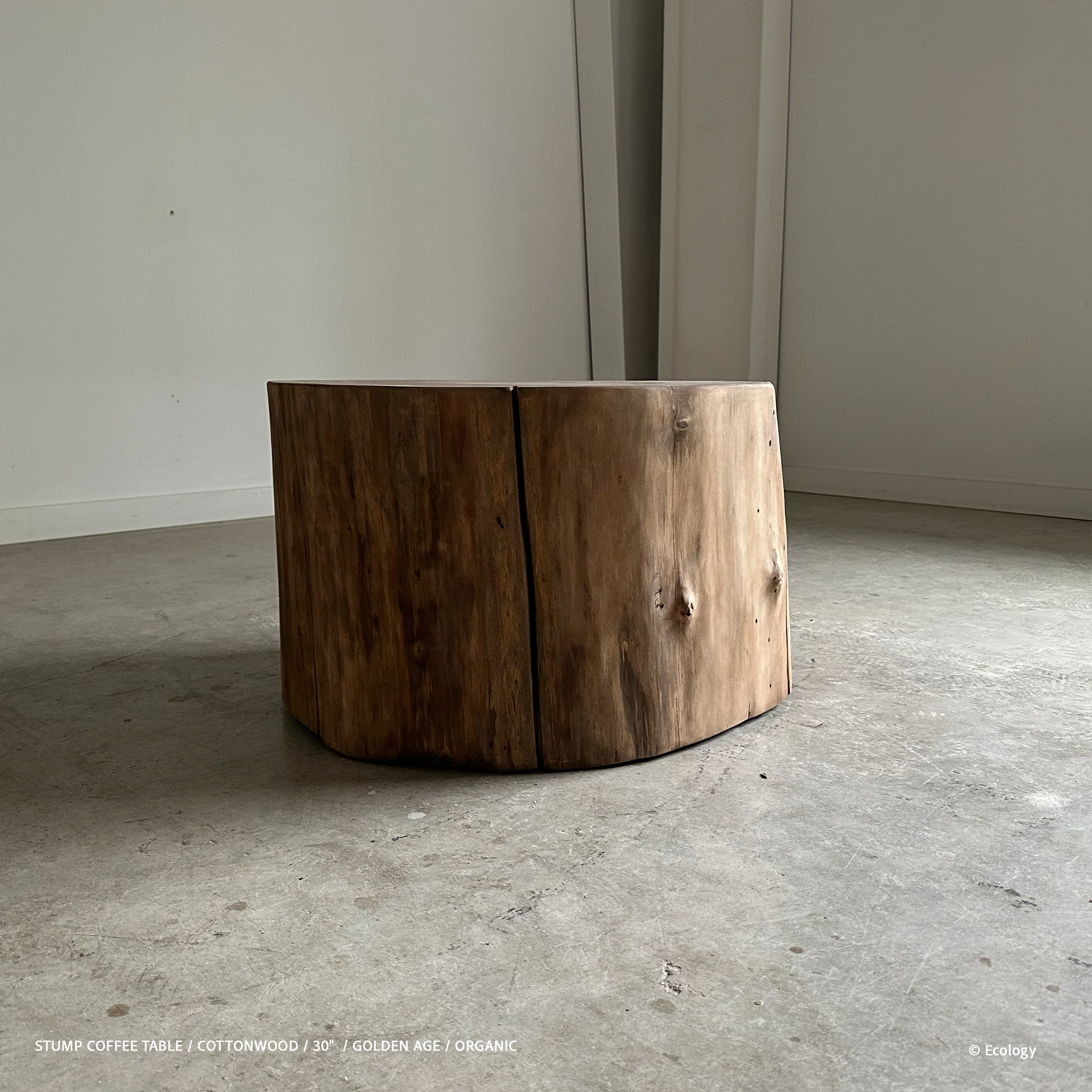 Stump Coffee Table - Image 4