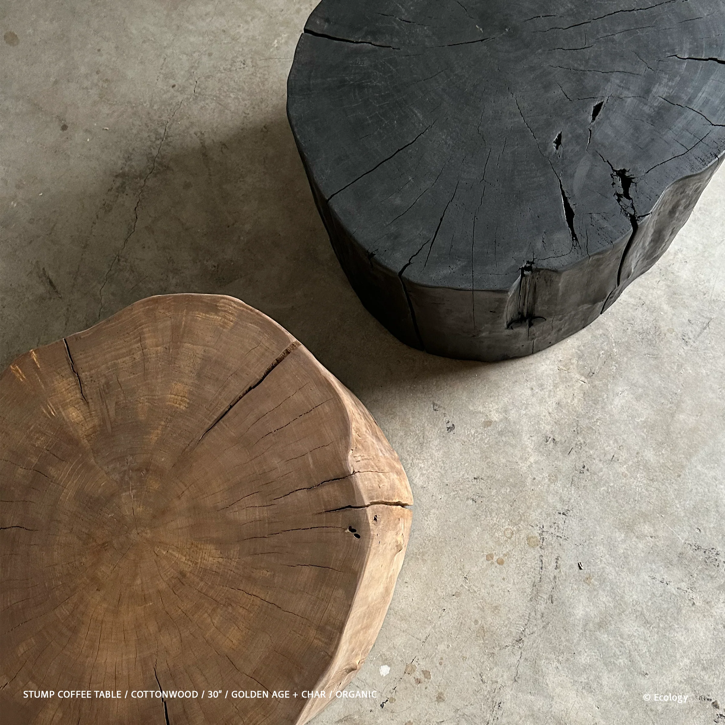 Stump Coffee Table - Image 5