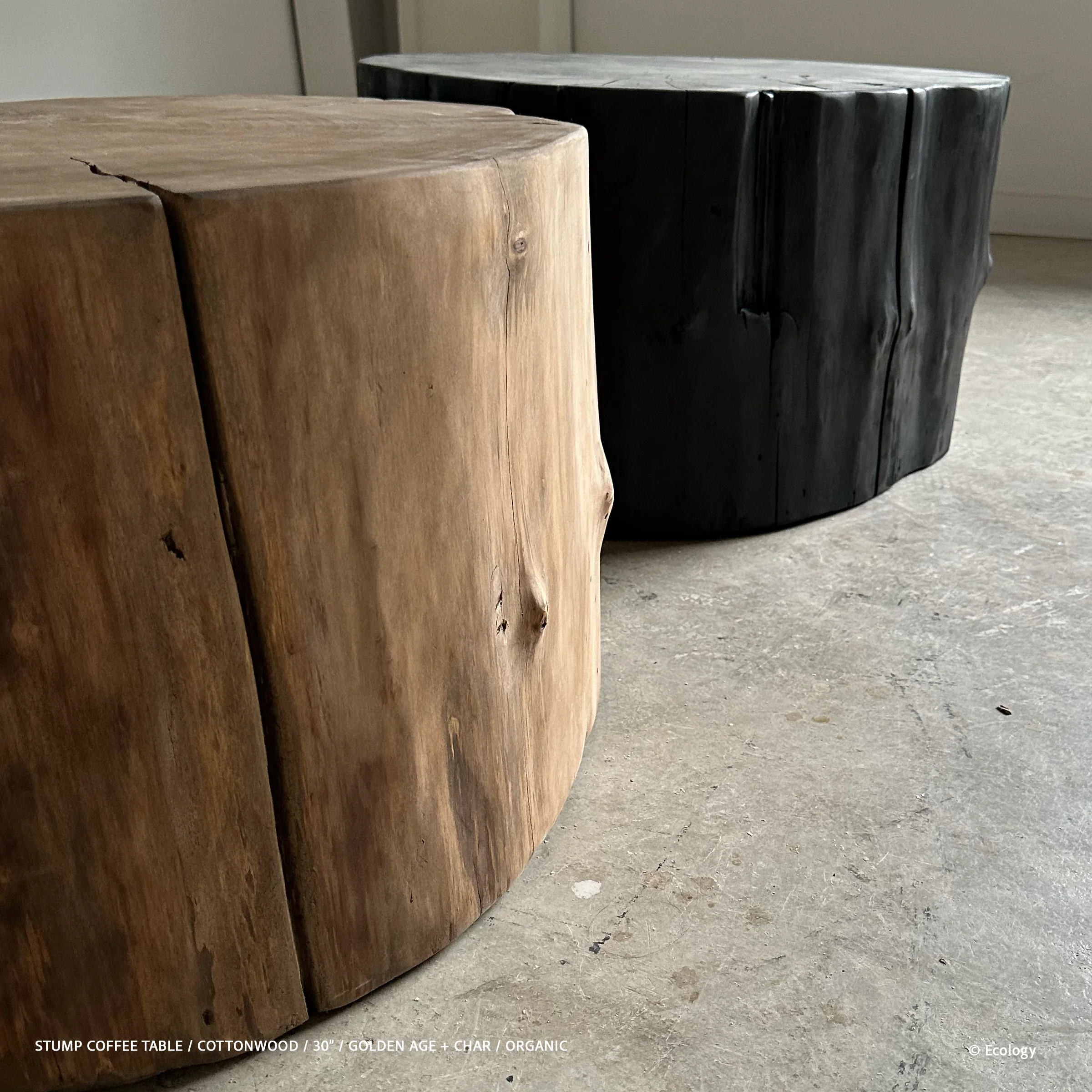 Stump Coffee Table - Image 6