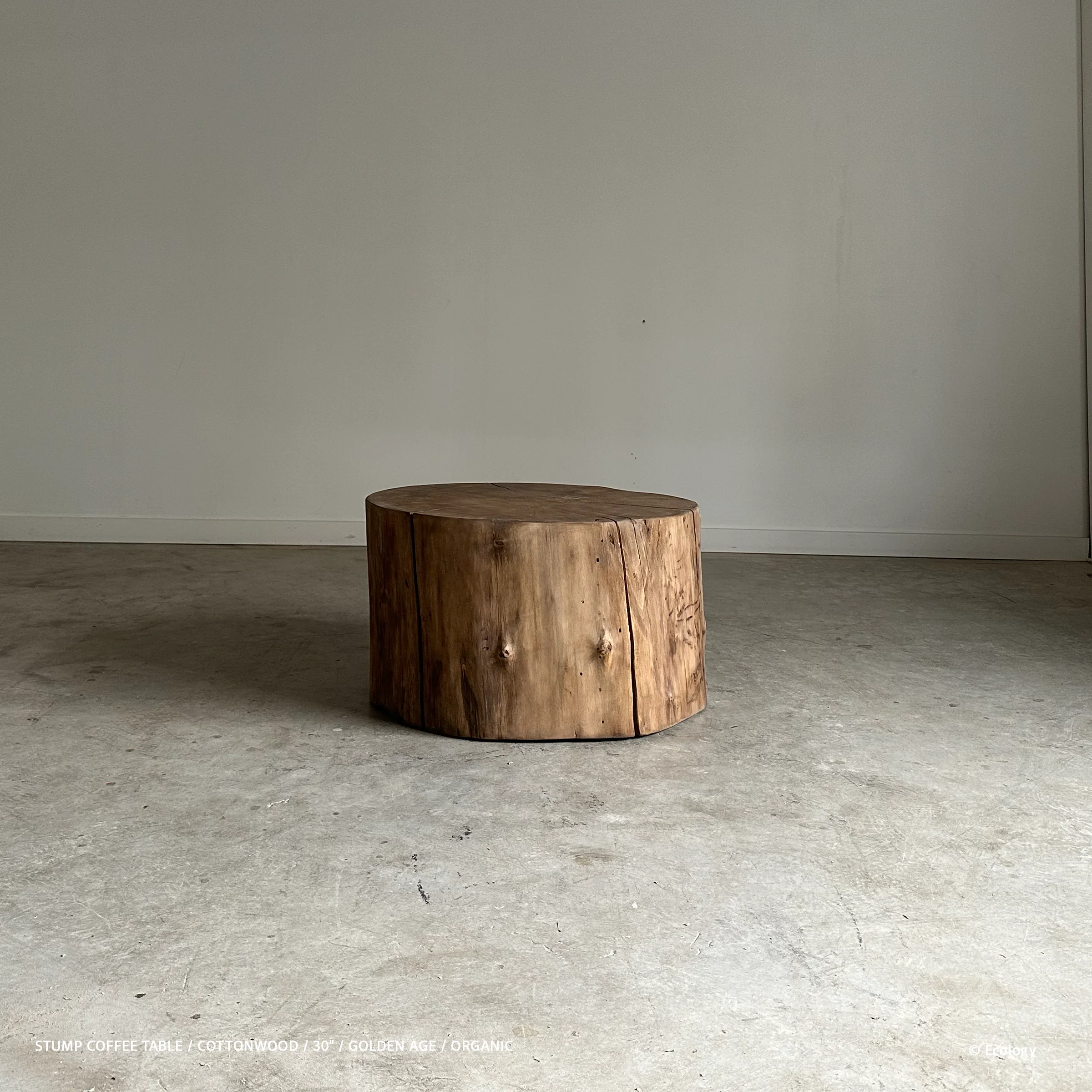 Stump Coffee Table - Image 7