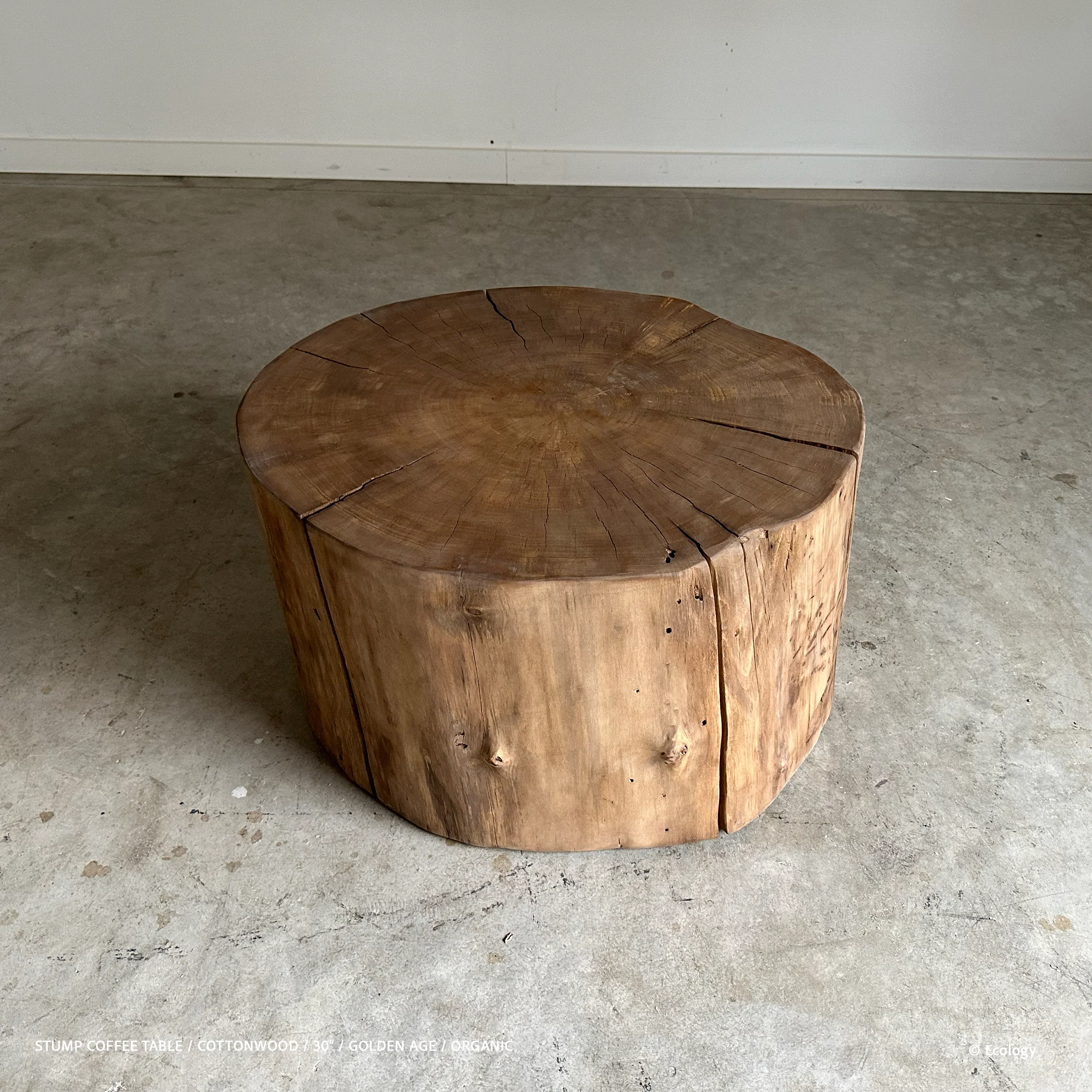 Stump Coffee Table - Image 8